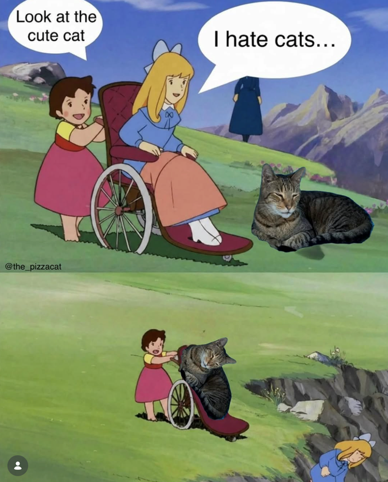 Look at the cute cat @the_pizzacat I hate cats...