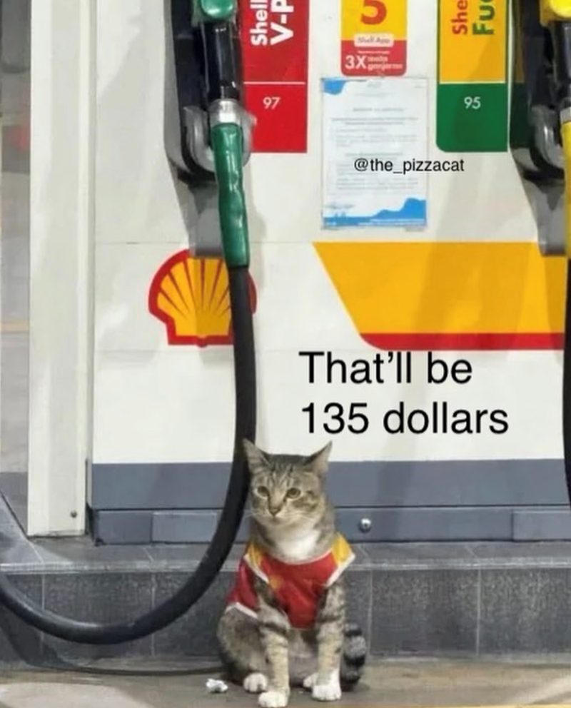Shell V-P 97 Shall Ave 3X @the_pizzacat That'll be 135 dollars She Fu 95 95