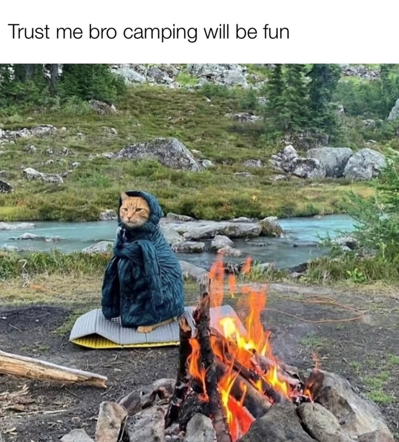 Trust me bro camping will be fun