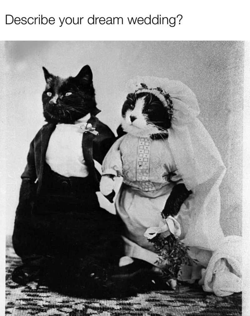 Describe your dream wedding? ・・・・ 窓口・・・・・・
