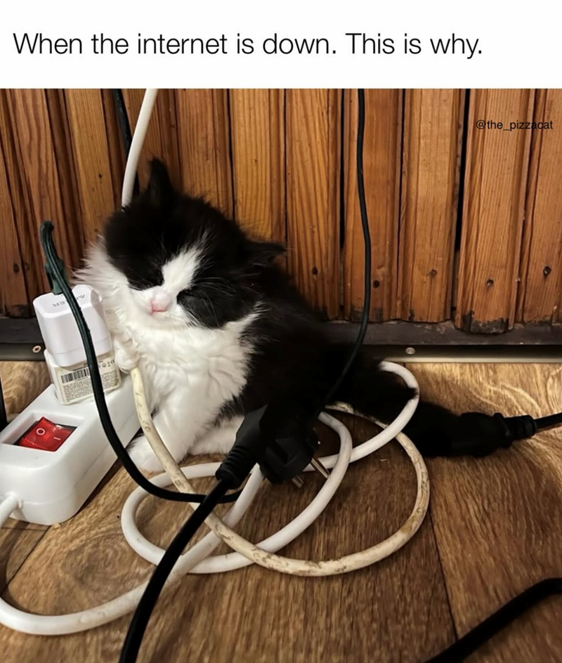 When the internet is down. This is why. @the_pizzacat