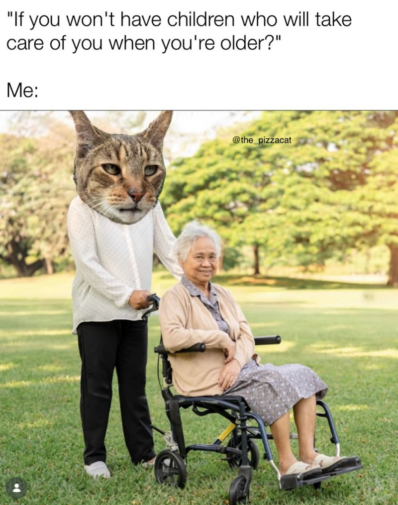 "If you won't have children who will take care of you when you're older?" Me: @the_pizzacat