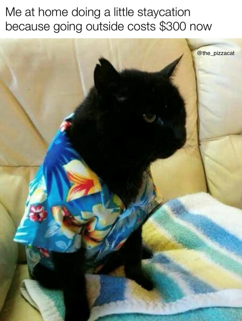 Me at home doing a little staycation because going outside costs $300 now @the_pizzacat