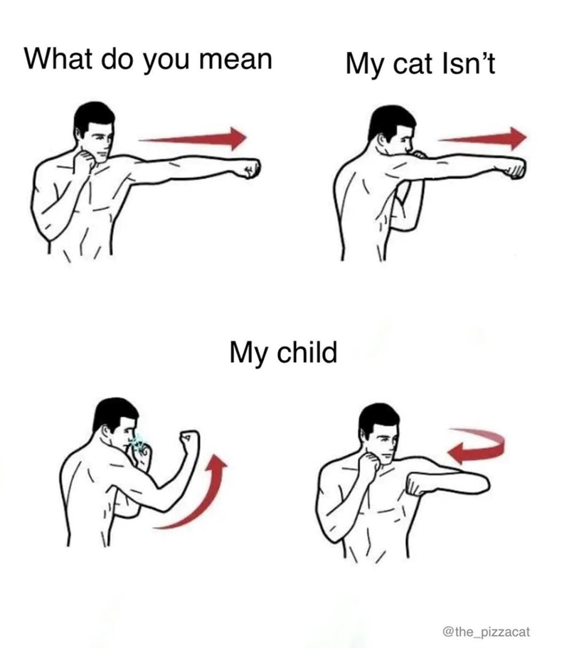 What do you mean My cat Isn't My child @the_pizzacat