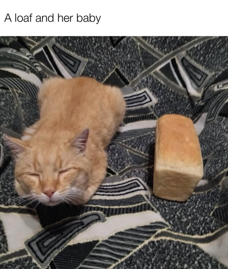 A loaf and her baby