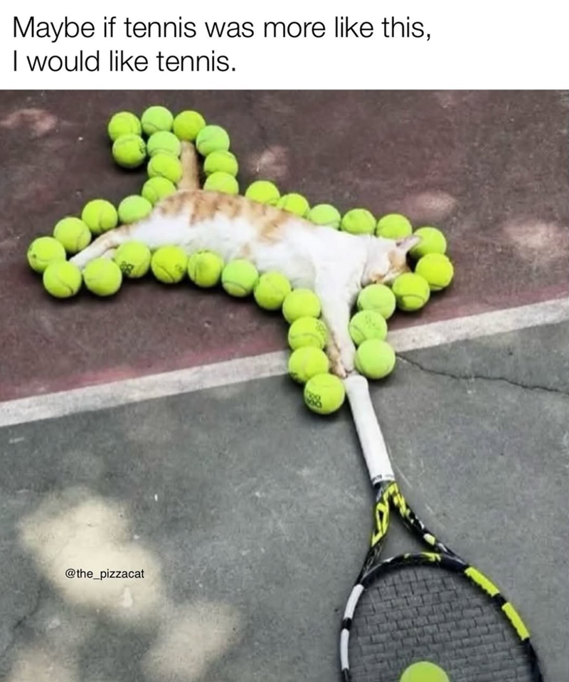 Maybe if tennis was more like this, I would like tennis. @the_pizzacat