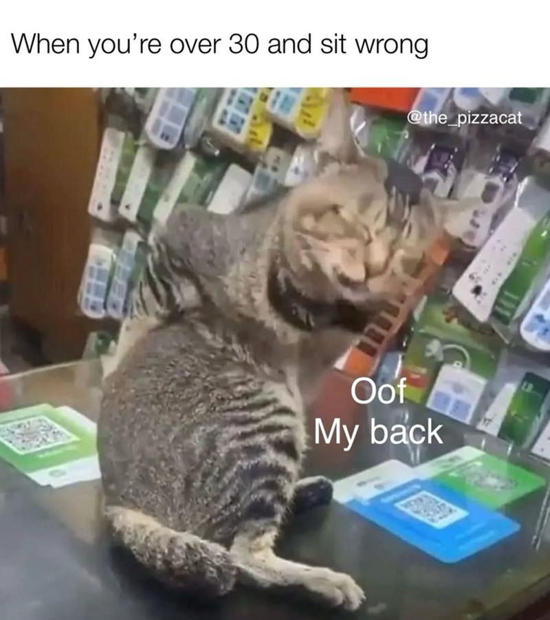 When you're over 30 and sit wrong @the_pizzacat Oof My back
