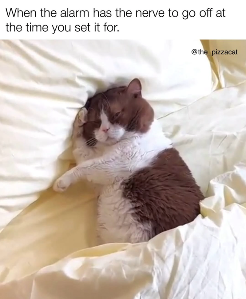 When the alarm has the nerve to go off at the time you set it for. @the_pizzacat