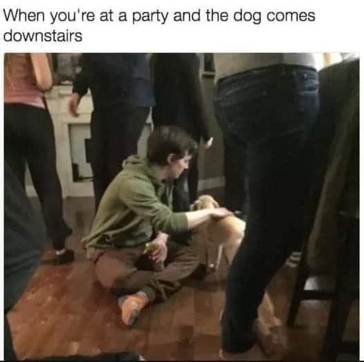 When you're at a party and the dog comes downstairs