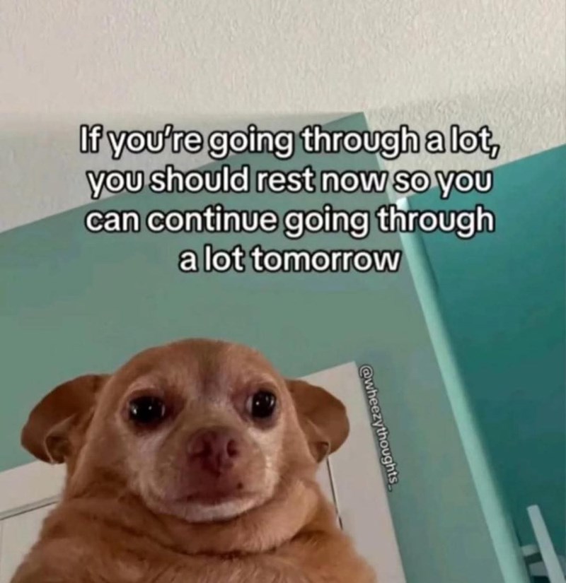 If you're going through a lot, you should rest now so you can continue going through a lot tomorrow @wheezythoughts