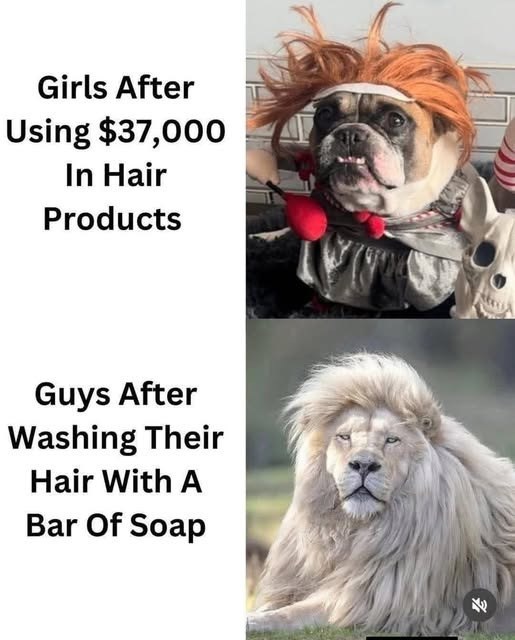 Girls After Using $37,000 In Hair Products Guys After Washing Their Hair With A Bar Of Soap