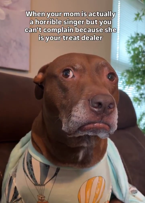 When your mom is actually a horrible singer but you can't complain because she is your treat dealer 社