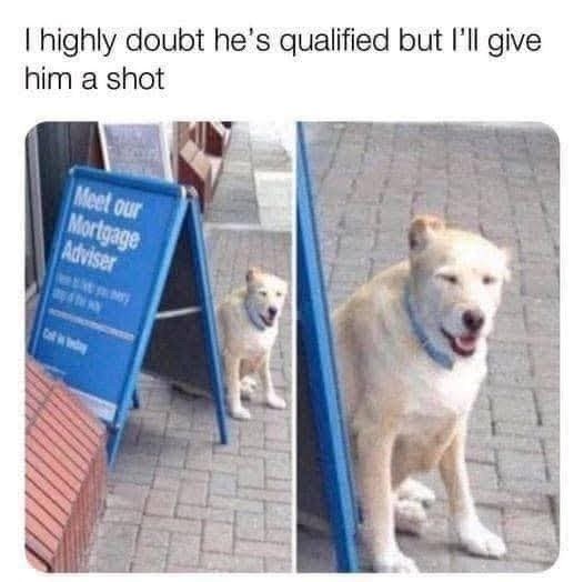 I highly doubt he's qualified but I'll give him a shot Meet our Mortgage Adviser