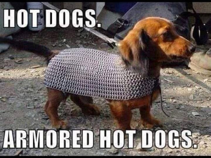 HOT DOGS. ARMORED HOT DOGS.