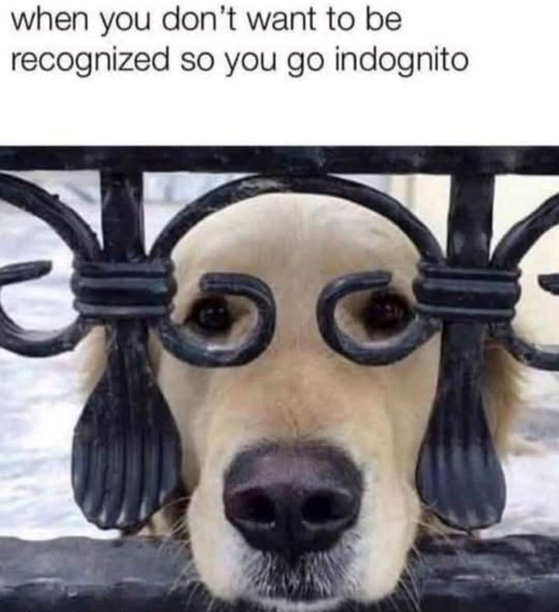 when you don't want to be recognized so you go indognito