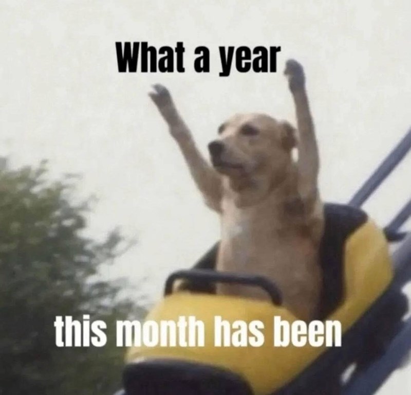 What a year this month has been
