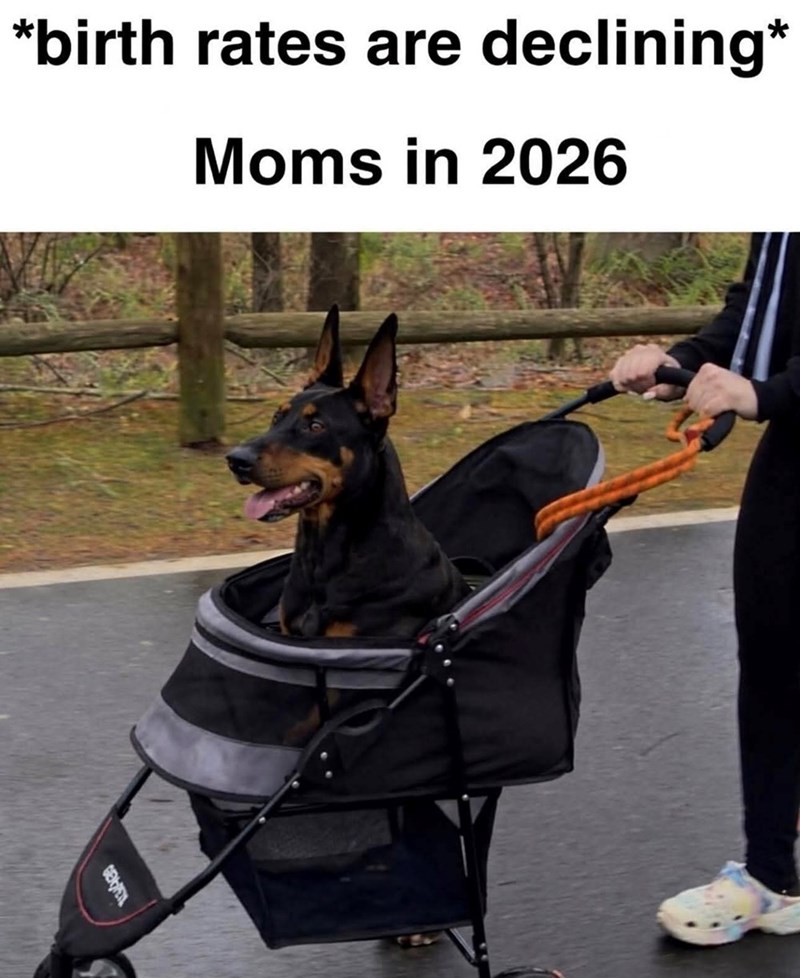 *birth rates are declining* Moms in 2026 GEOPEN