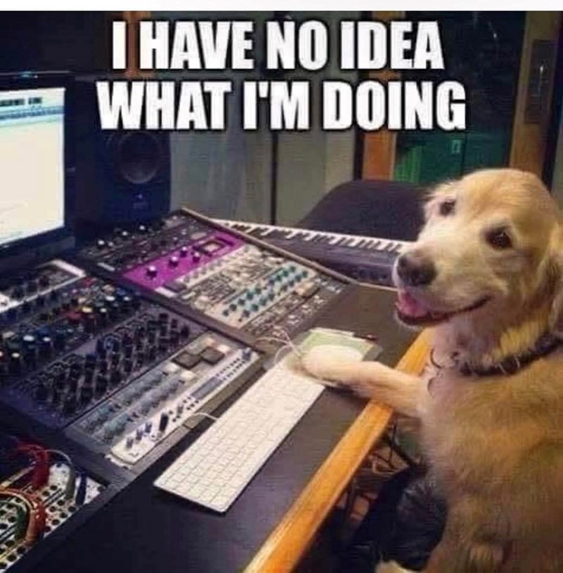 I HAVE NO IDEA WHAT I'M DOING
