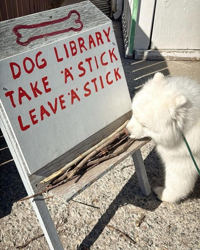 DOG LIBRARY TAKE A STICK LEAVE A STICK