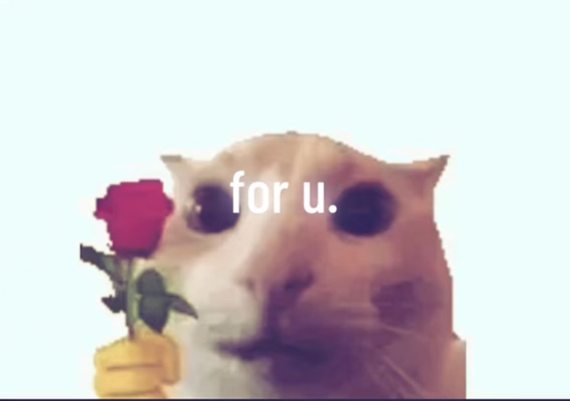 for u.