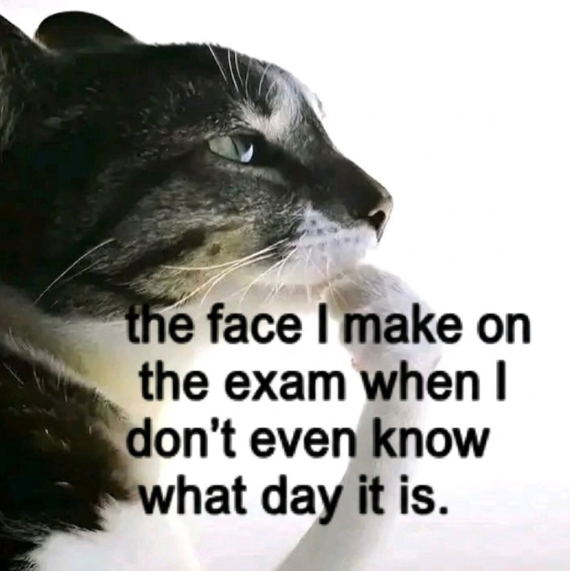 the face I make on the exam when I don't even know what day it is.