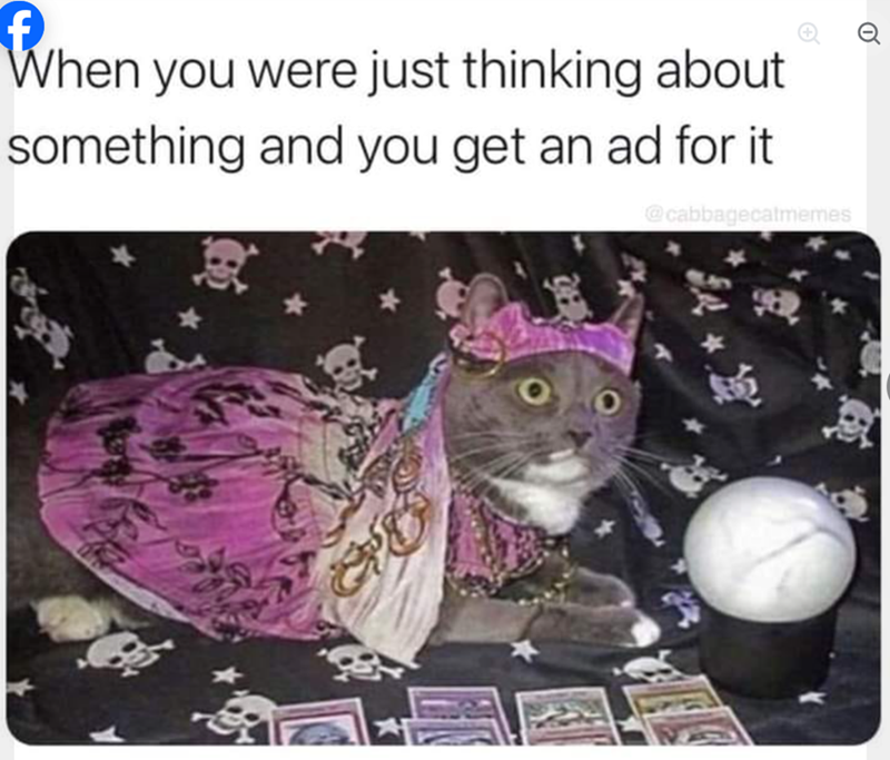 When you were just thinking about something and you get an ad for it @cabbagecatmemes