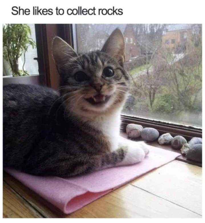 She likes to collect rocks