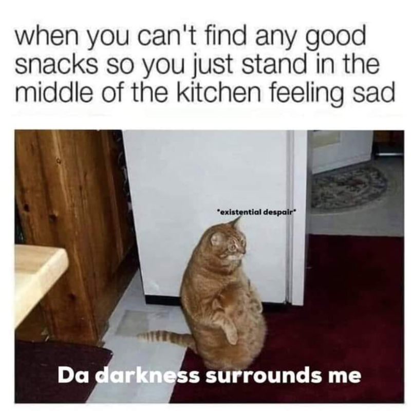 when you can't find any good snacks so you just stand in the middle of the kitchen feeling sad "existential despair* Da darkness surrounds me