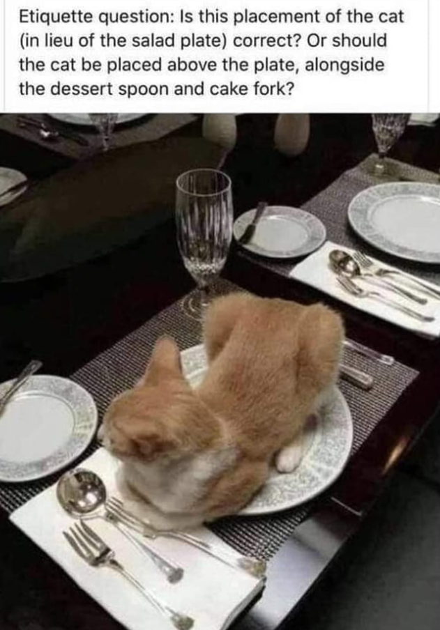Etiquette question: Is this placement of the cat (in lieu of the salad plate) correct? Or should the cat be placed above the plate, alongside the dessert spoon and cake fork?