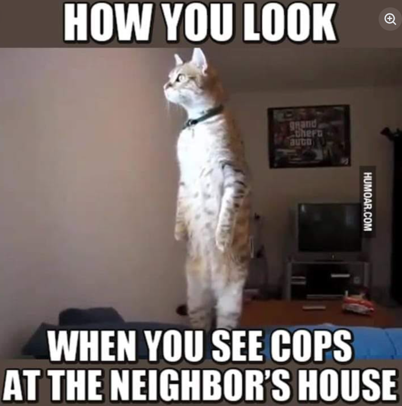 HOW YOU LOOK NEARING grand Chern auto HUMOAR.COM WHEN YOU SEE COPS AT THE NEIGHBOR'S HOUSE