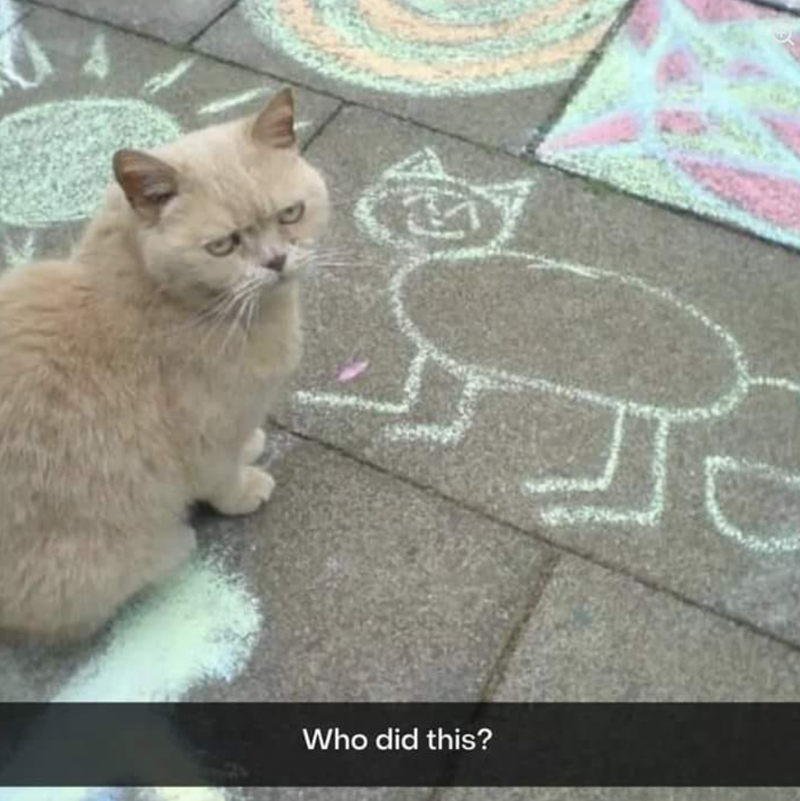 Who did this?
