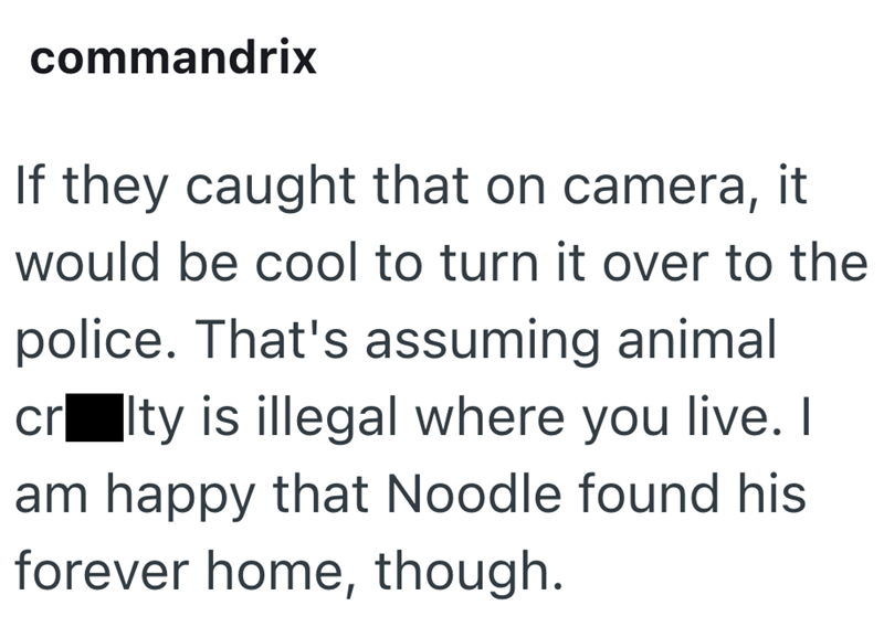 commandrix If they caught that on camera, it would be cool to turn it over to the police. That's assuming animal cr⚫lty is illegal where you live. I am happy that Noodle found his forever home, though.