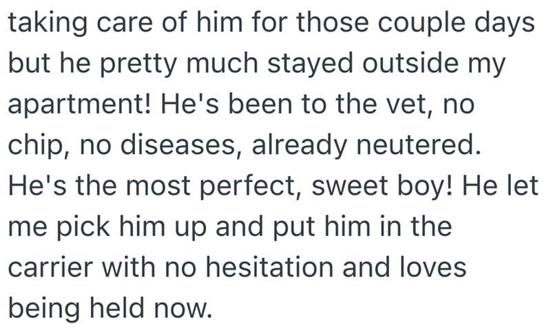 taking care of him for those couple days but he pretty much stayed outside my apartment! He's been to the vet, no chip, no diseases, already neutered. He's the most perfect, sweet boy! He let me pick him up and put him in the carrier with no hesitation and loves being held now.