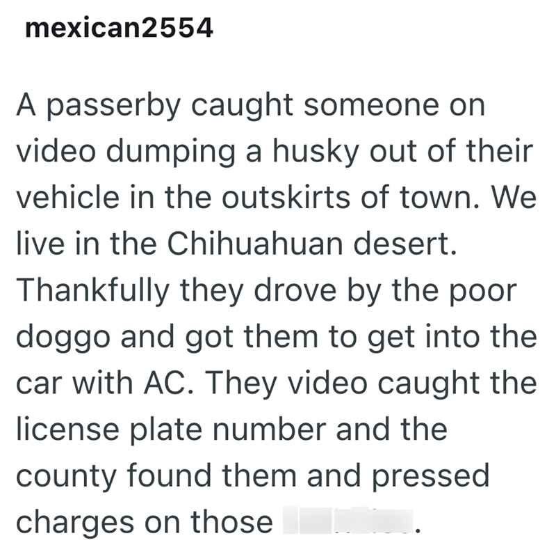 mexican2554 A passerby caught someone on video dumping a husky out of their vehicle in the outskirts of town. We live in the Chihuahuan desert. Thankfully they drove by the poor doggo and got them to get into the car with AC. They video caught the license plate number and the county found them and pressed charges on those