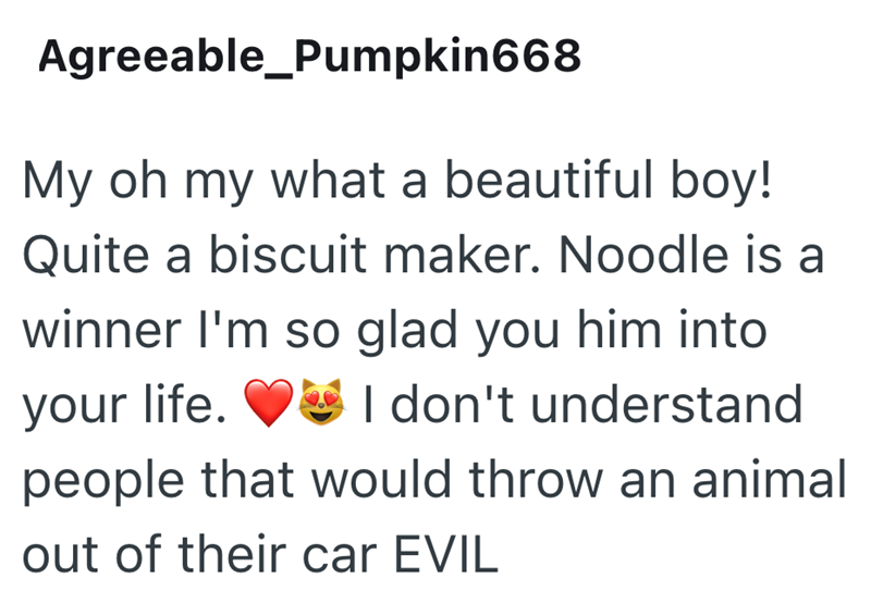Agreeable_Pumpkin668 My oh my what a beautiful boy! Quite a biscuit maker. Noodle is a winner I'm so glad you him into your life. I don't understand people that would throw an animal out of their car EVIL