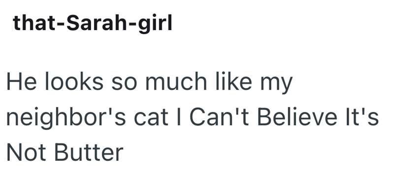 that-Sarah-girl He looks so much like my neighbor's cat I Can't Believe It's Not Butter