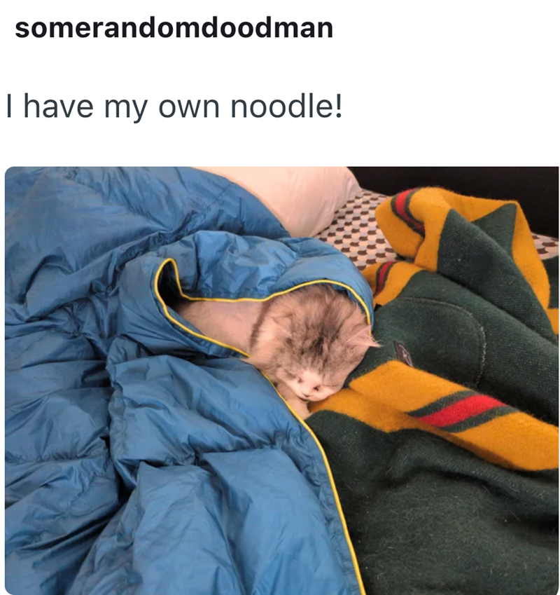 somerandomdoodman I have my own noodle!
