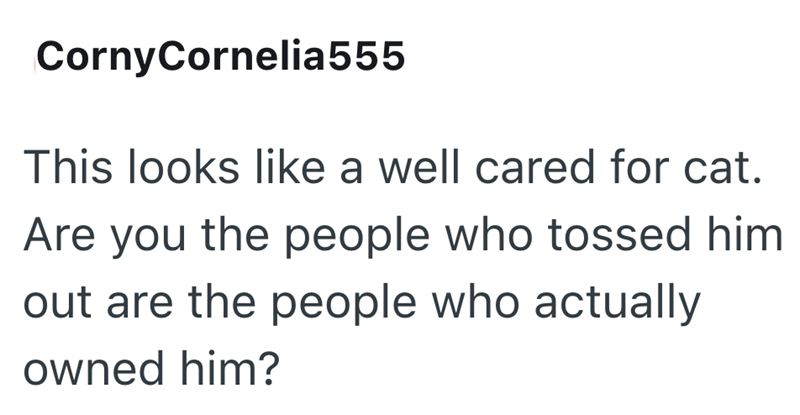 CornyCornelia555 This looks like a well cared for cat. Are you the people who tossed him out are the people who actually owned him?