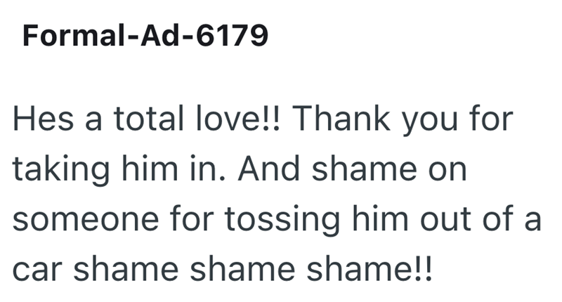 Formal-Ad-6179 Hes a total love!! Thank you for taking him in. And shame on someone for tossing him out of a car shame shame shame!!