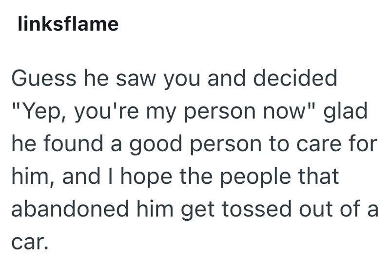 linksflame Guess he saw you and decided "Yep, you're my person now" glad he found a good person to care for him, and I hope the people that abandoned him get tossed out of a car.