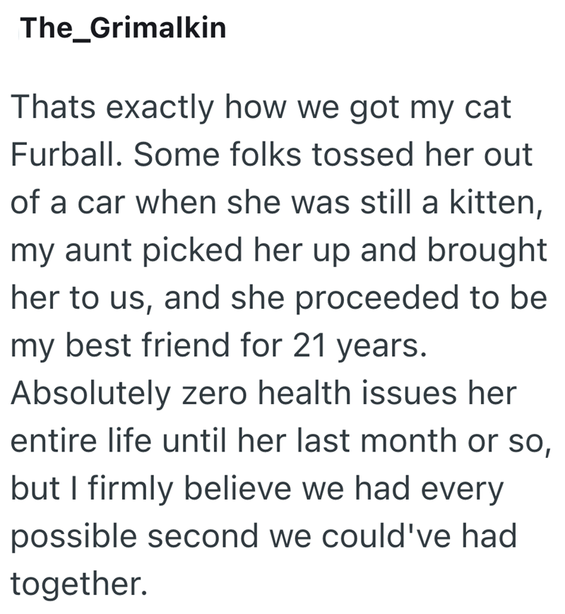 The_Grimalkin Thats exactly how we got my cat Furball. Some folks tossed her out of a car when she was still a kitten, my aunt picked her up and brought her to us, and she proceeded to be my best friend for 21 years. Absolutely zero health issues her entire life until her last month or so, but I firmly believe we had every possible second we could've had together.