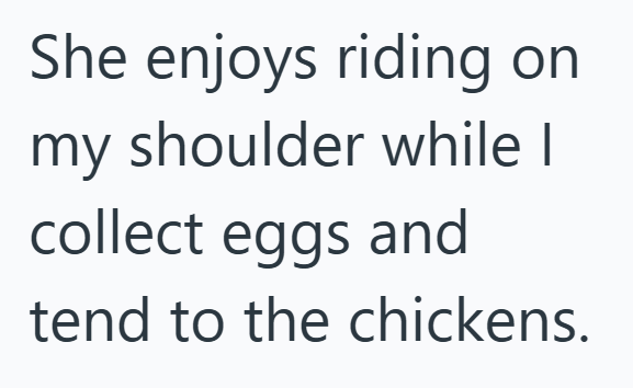 She enjoys riding on my shoulder while I collect eggs and tend to the chickens.