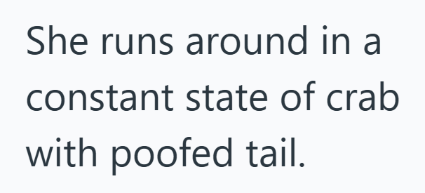 She runs around in a constant state of crab with poofed tail.