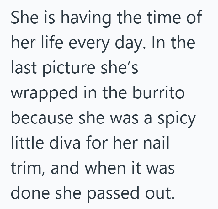 She is having the time of her life every day. In the last picture she's wrapped in the burrito because she was a spicy little diva for her nail trim, and when it was done she passed out.