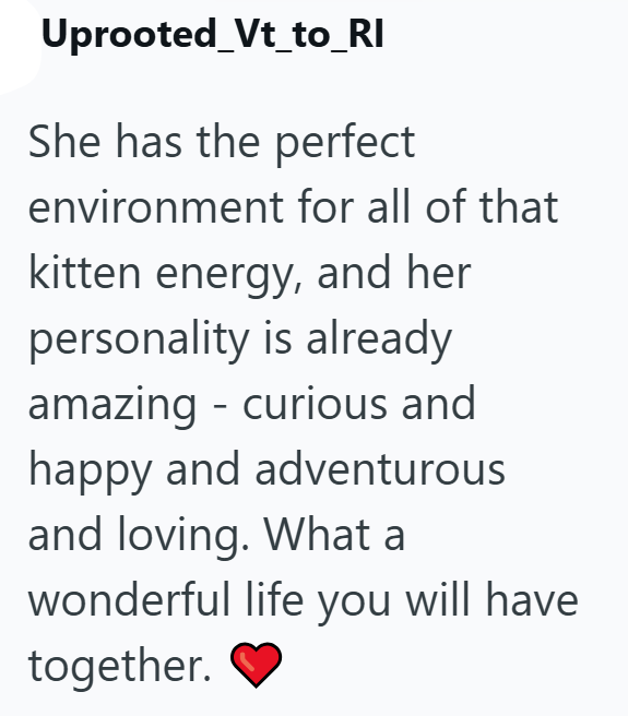 Uprooted_Vt_to_RI She has the perfect environment for all of that kitten energy, and her personality is already amazing - curious and happy and adventurous and loving. What a wonderful life you will have together.