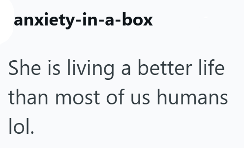 anxiety-in-a-box She is living a better life than most of us humans lol.