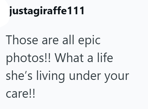 justagiraffe111 Those are all epic photos!! What a life she's living under your care!!