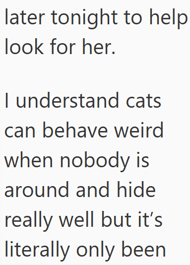 later tonight to help look for her. I understand cats can behave weird when nobody is around and hide really well but it's literally only been