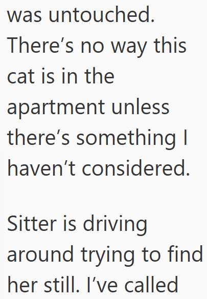 was untouched. There's no way this cat is in the apartment unless there's something I haven't considered. Sitter is driving around trying to find her still. I've called