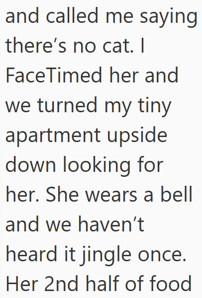 and called me saying there's no cat. I FaceTimed her and we turned my tiny apartment upside down looking for her. She wears a bell and we haven't heard it jingle once. Her 2nd half of food